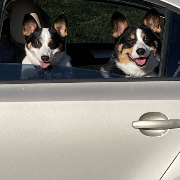 Hi I'm Jennifer! Stop and say hello 🌺 - Picture 2 of 2